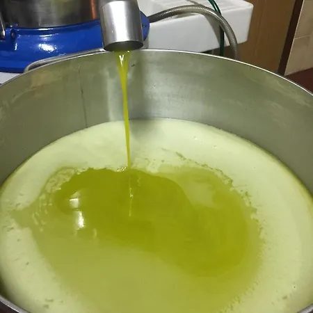 Casafucciresort Vakantieboerderij *